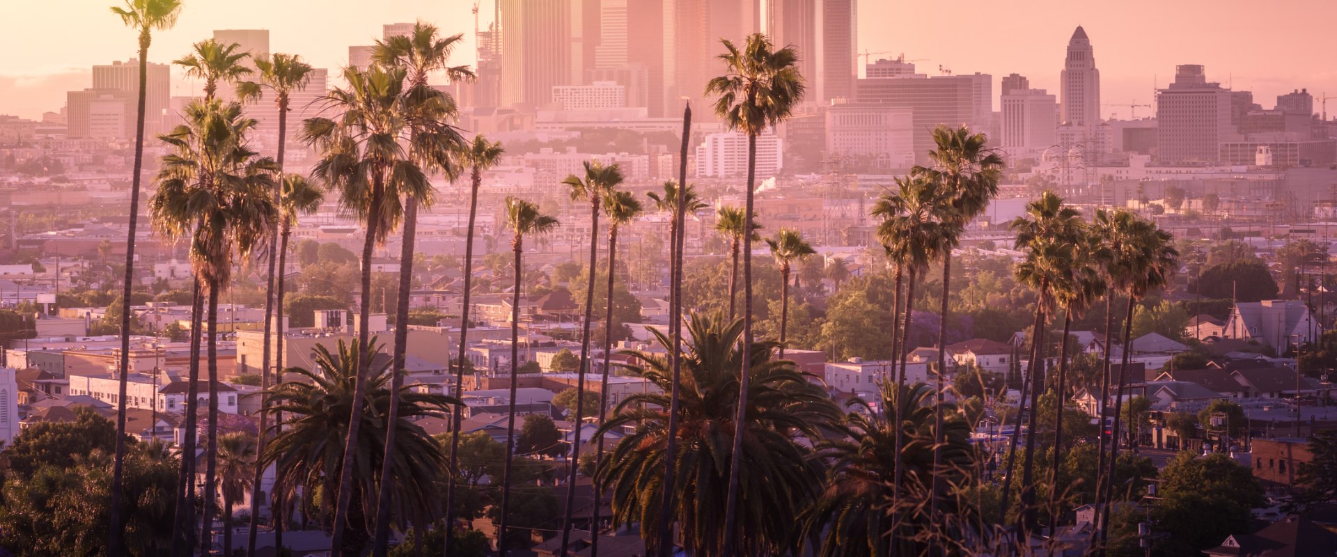 Understanding Fraud Crimes And Laws: What Los Angeles Residents Need To Know