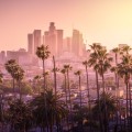Understanding Fraud Crimes And Laws: What Los Angeles Residents Need To Know